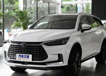 2019款 EV600 两驱智联创享型