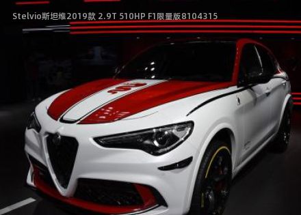 Stelvio斯坦维2019款 2.9T 510HP F1限量版拆车件