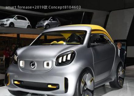 smart forease+2019款 Concept拆车件