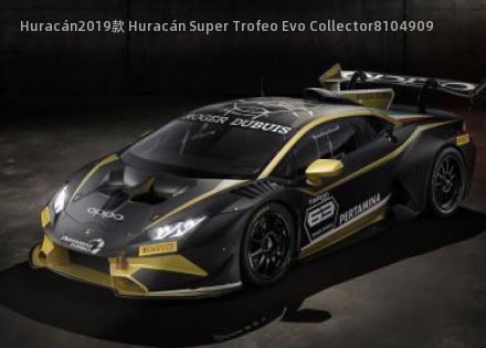 Huracán2019款 Huracán Super Trofeo Evo Collector拆车件