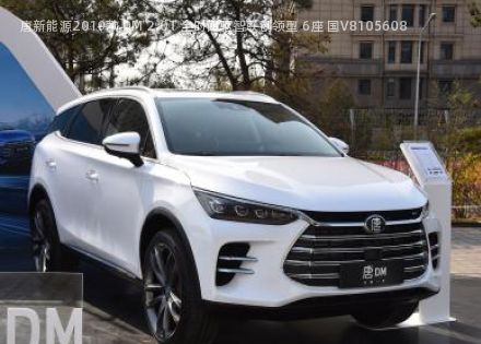 2019款 DM 2.0T 全时四驱智联创领型 6座 国V