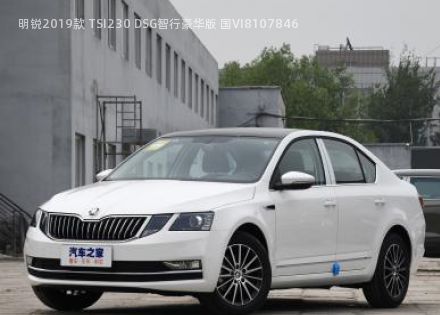 2019款 TSI230 DSG智行豪华版 国VI