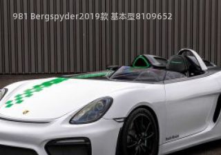 981 Bergspyder2019款 基本型拆车件