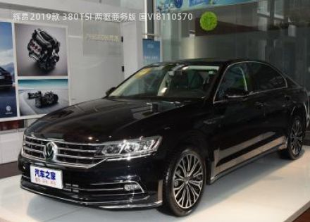 2019款 380TSI 两驱商务版 国VI