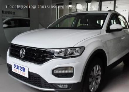 2019款 230TSI DSG两驱时尚型 国VI