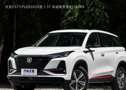 2020款 1.5T 自动尊贵型