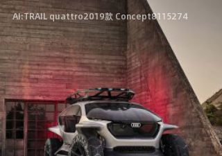 AI:TRAIL quattro2019款 Concept拆车件