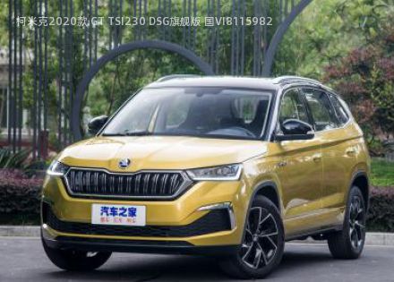 2020款 GT TSI230 DSG旗舰版 国VI拆车件客服台