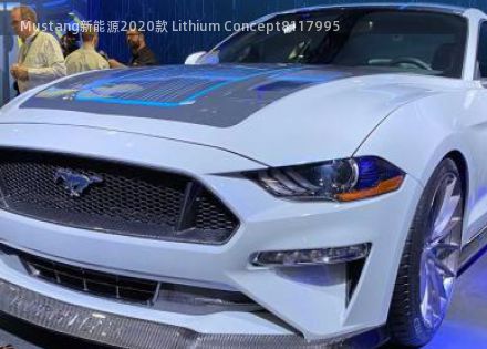 Mustang新能源2020款 Lithium Concept拆车件