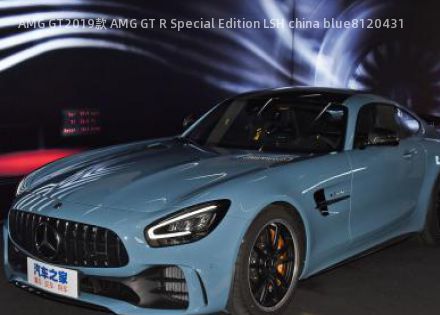 AMG GT2019款 AMG GT R Special Edition LSH china blue拆车件