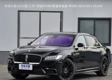 2020款 2.0T 两驱MONO限量尊耀版 MONO BLACK