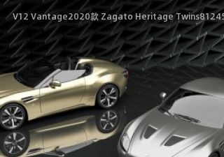 V12 Vantage2020款 Zagato Heritage Twins拆车件