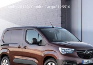 2018款 Combo Cargo