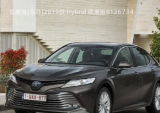 2019款 Hybrid 欧洲版拆车件客服台