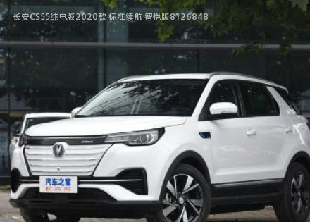 2020款 标准续航 智悦版拆车件客服台