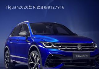 2020款 R 欧洲版拆车件客服台