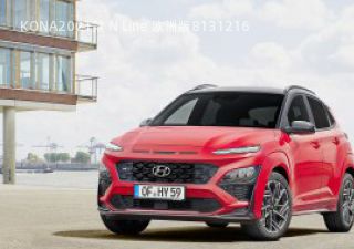2021款 N Line 欧洲版拆车件客服台