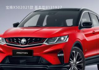 2021款 基本型