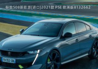 2021款 PSE 欧洲版拆车件客服台