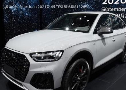 2021款 45 TFSI 臻选型拆车件客服台