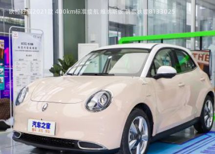2021款 400km标准续航 维纳斯版 磷酸铁锂拆车件客服台