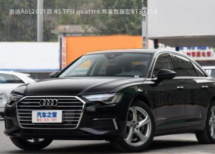 2021款 45 TFSI quattro 尊享致雅型