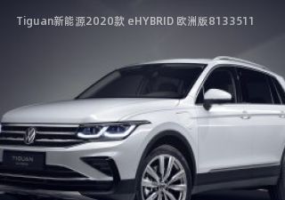 Tiguan新能源2020款 eHYBRID 欧洲版拆车件