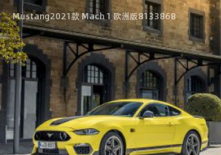 2021款 Mach 1 欧洲版拆车件客服台