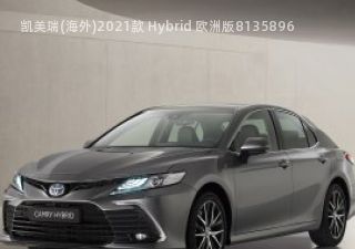 2021款 Hybrid 欧洲版拆车件客服台