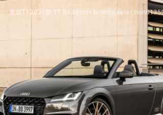 2021款 TT Roadster bronze selection