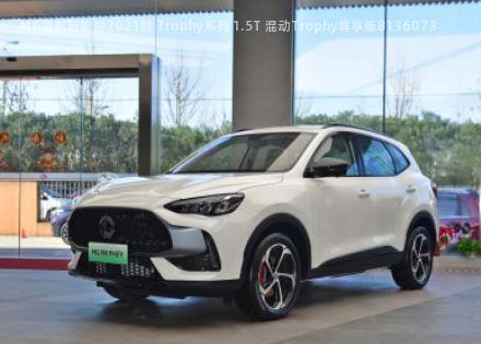 2021款 Trophy系列 1.5T 混动Trophy尊享版拆车件客服台