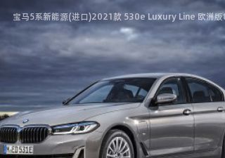 2021款 530e Luxury Line 欧洲版拆车件客服台