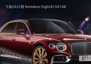 2021款 Reindeer Eight拆车件客服台