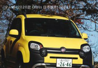Panda2020款 Cross 日本版拆车件