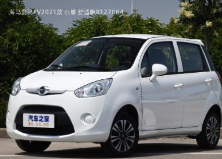 2021款 小雁 舒适版拆车件客服台