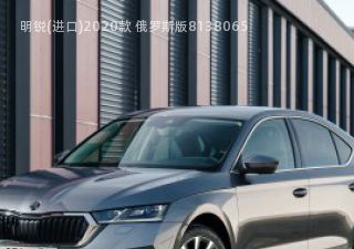 2020款 俄罗斯版拆车件客服台