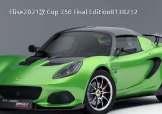 2021款 Cup 250 Final Edition