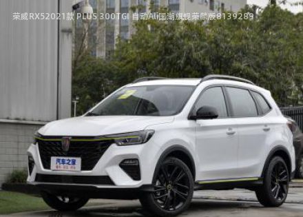 2021款 PLUS 300TGI 自动Ali国潮旗舰荣麟版拆车件客服台