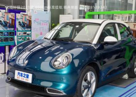 2021款 400km标准续航 雅典娜版 三元锂