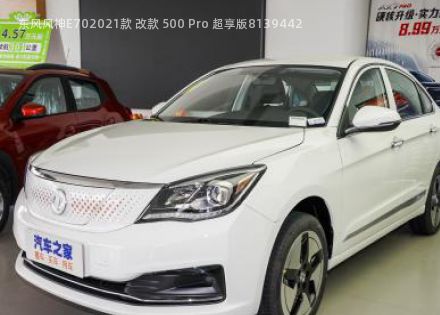 2021款 改款 500 Pro 超享版