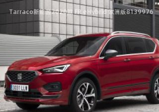 2020款 FR eHybrid 欧洲版拆车件客服台