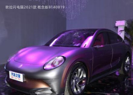 2021款 概念版拆车件客服台