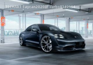 TECHART Taycan2020款 Turbo拆车件