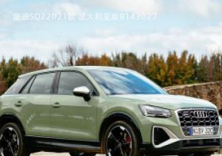2021款 澳大利亚版拆车件客服台