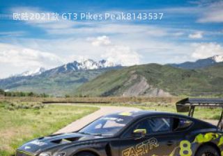 欧陆2021款 GT3 Pikes Peak拆车件