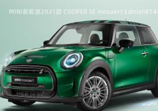 MINI新能源2021款 COOPER SE mosaert Edition拆车件