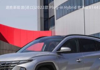 2022款 Plug-in Hybrid 欧洲版拆车件客服台