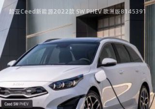 2022款 SW PHEV 欧洲版拆车件客服台