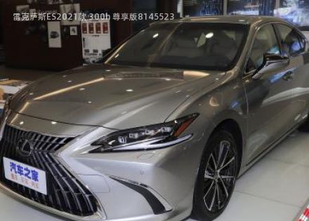 2021款 300h 尊享版拆车件客服台