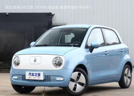 2022款 301km 萌宠版 磷酸铁锂